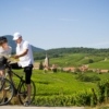 Cycling in Alsace | Visit Alsace