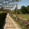 Rural path near Ponte de Lima
