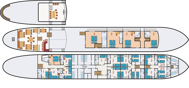 Barco Leafde planta